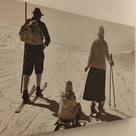 Hotel Garni Birkenheim 3*