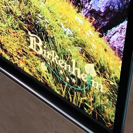 Garni Birkenheim Otel Gerlos